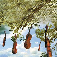 Taller musical: “The Vivaldi Experience”