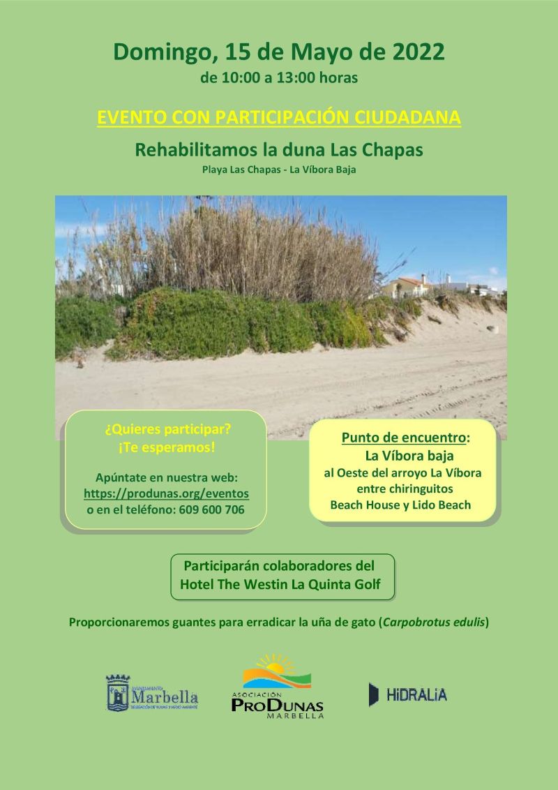 Rehabilitación la duna Las Chapas