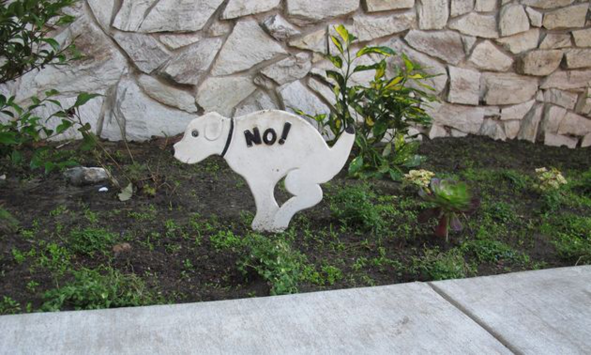 Es necesario recoger las deyecciones de mi perro si las hace en un jardín