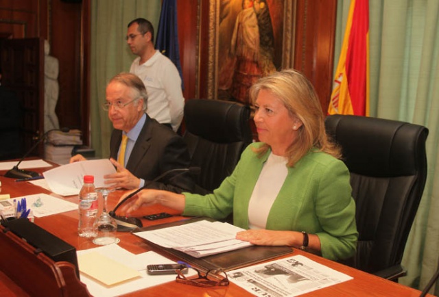 Imagen de la noticia El Pleno impulsa la constitución del Consejo Soci…
