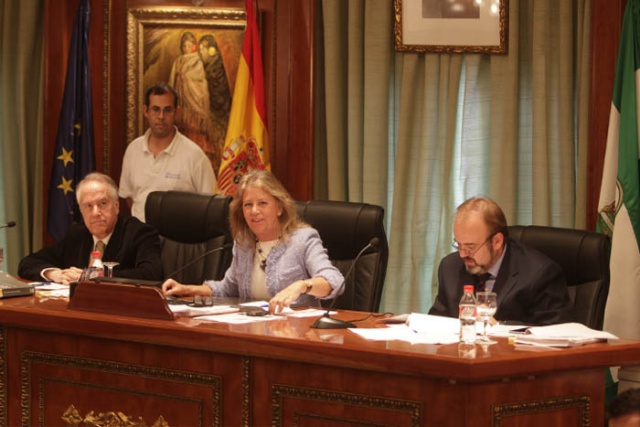 Imagen de la noticia El Pleno aprueba instar a la Junta a que asuma su…