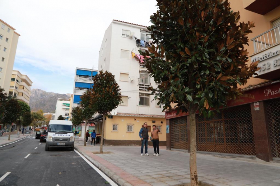 Marbella contará con medio centenar de nuevos árboles tras la remodelación de la avenida del Trapiche, que se sumarán a los 1.200 ejemplares plantados durante este mandato