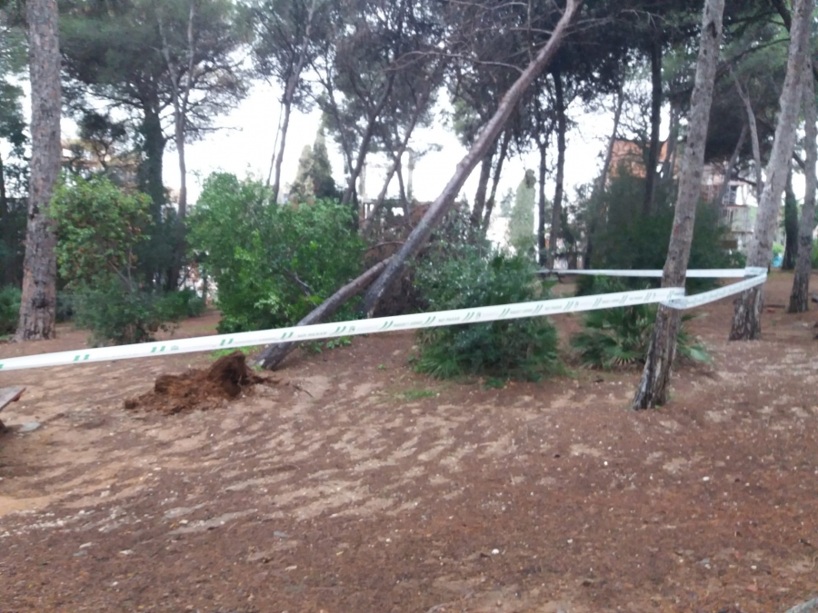 El Ayuntamiento cierra de forma provisional los parques de Nagüeles y Vigil de Quiñones para garantizar la seguridad de los usuarios frente a las últimas incidencias por las lluvias y el viento