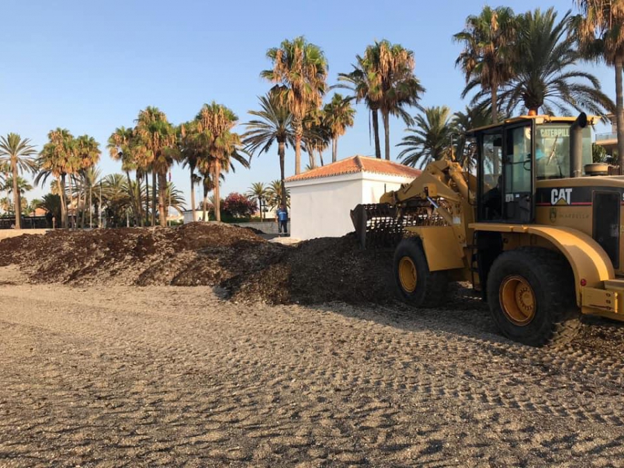 El Ayuntamiento retira en un mes más de 750.000 kilos de algas de la costa de Marbella