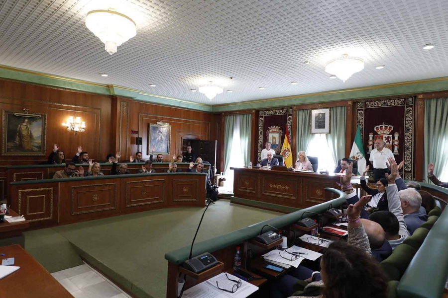 El Pleno aprueba iniciar el procedimiento para la concesión de las Medallas de la Ciudad 2024 a la Hermandad de la Virgen del Carmen, la UD San Pedro y la Comisaría de Policía de Marbella