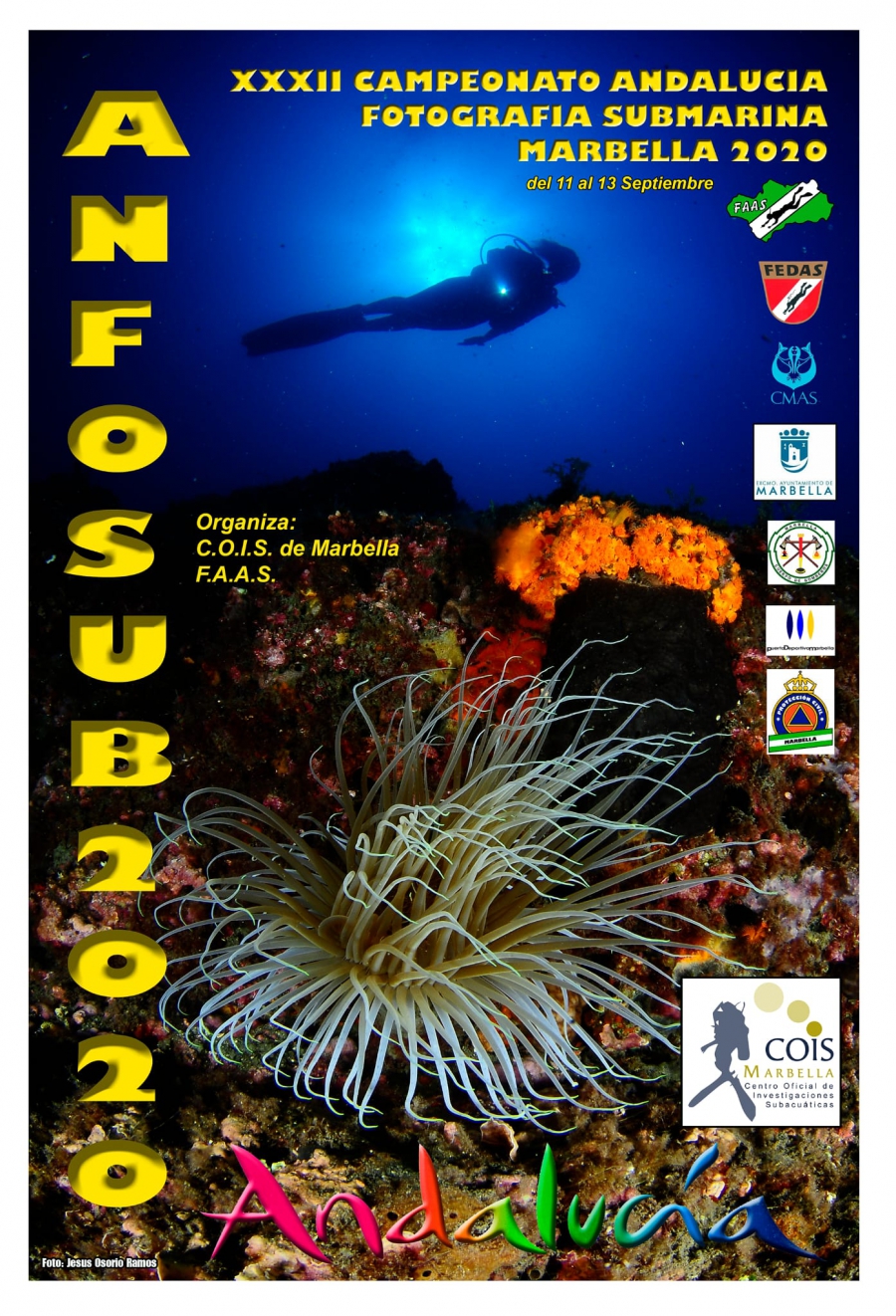 Marbella acoge este fin de semana el XXXII Campeonato de Andalucía de Fotografía Submarina que organiza el Centro Oficial de Investigaciones Subacuáticas