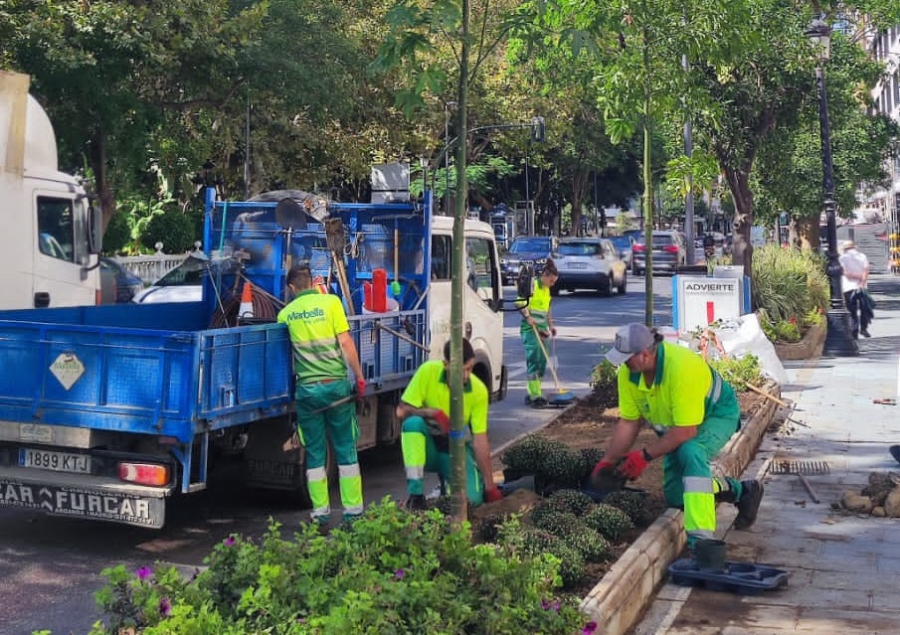 El Ayuntamiento restaura de forma inmediata la jardinera afectada por la caída de un árbol de gran porte en Ricardo Soriano
