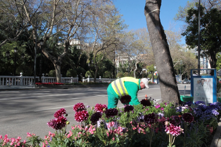 El Ayuntamiento mantiene su apuesta por el embellecimiento de las zonas verdes con la plantación de 20.000 flores en 30 puntos de la ciudad