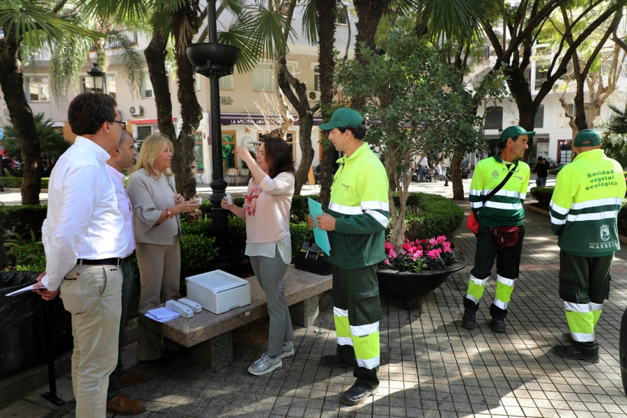 El Ayuntamiento aplica un tratamiento para el control de plagas pionero en España que beneficiará a más de 3.400 árboles de todo el término municipal
