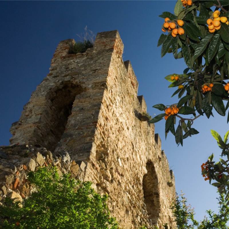 Castillo de Marbella: Alcazaba y Muralla