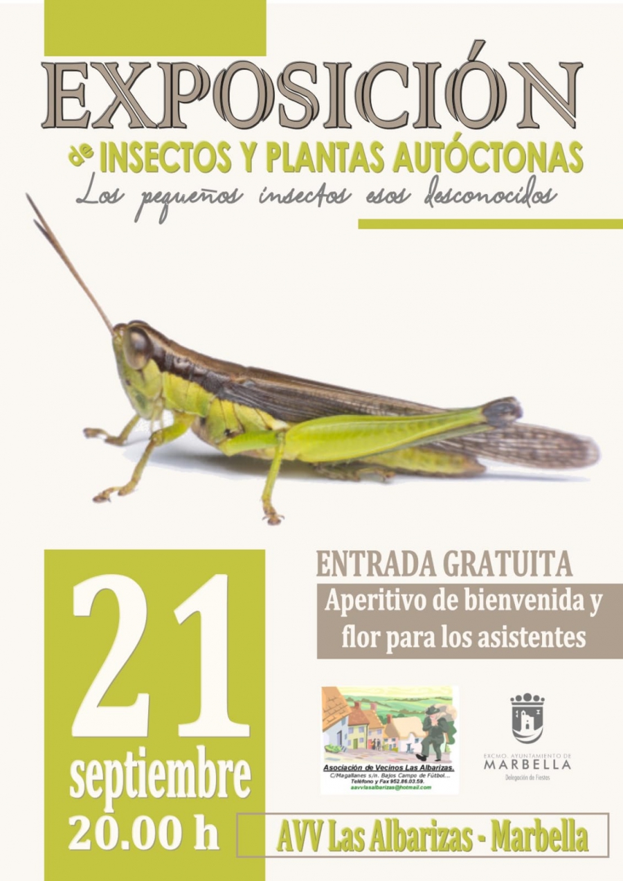 El Ayuntamiento colabora con la Asociación de Vecinos Las Albarizas en la exposición ‘Los pequeños insectos, esos desconocidos’ que se celebra mañana