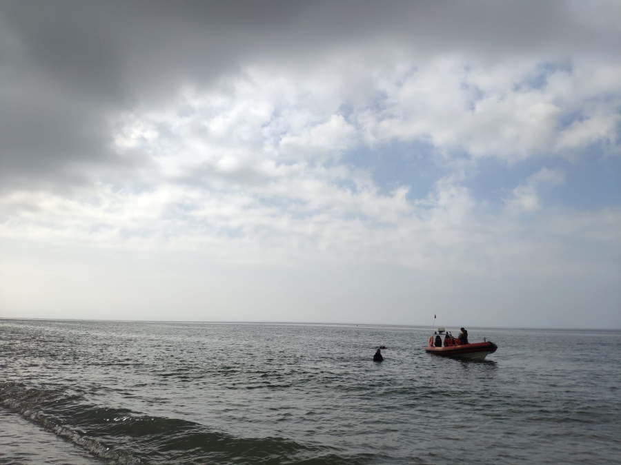 Bomberos retiran de la playa de Las Chapas restos de un contenedor metálico hundido y semienterrado en el mar