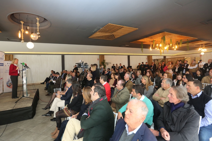 La alcaldesa marca para finales de 2020 la aprobación del nuevo PGOU de Marbella, cuyo avance estará listo en este año