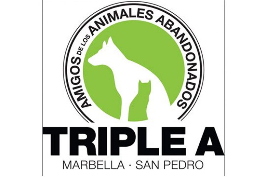 Imagen de la noticia La asociación ‘Triple A’ renueva su página web e…