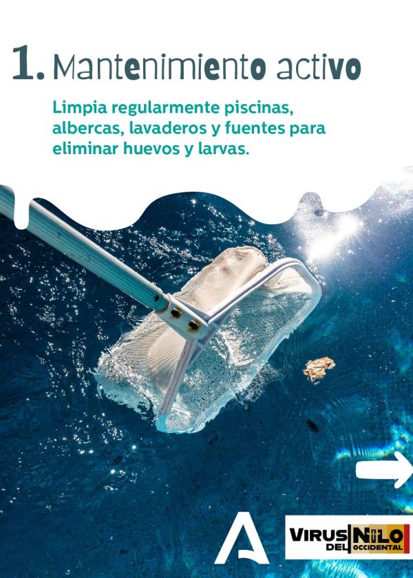 Mantenimiento activo