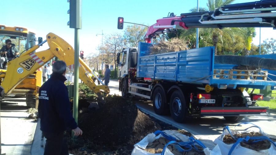 Imagen de la noticia La Tenencia de Alcaldía de San Pedro Alcántara ev…