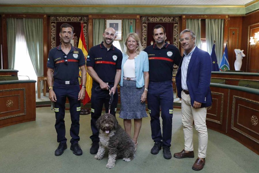 Imagen de la noticia El Ayuntamiento propondrá a los dos bomberos desp…