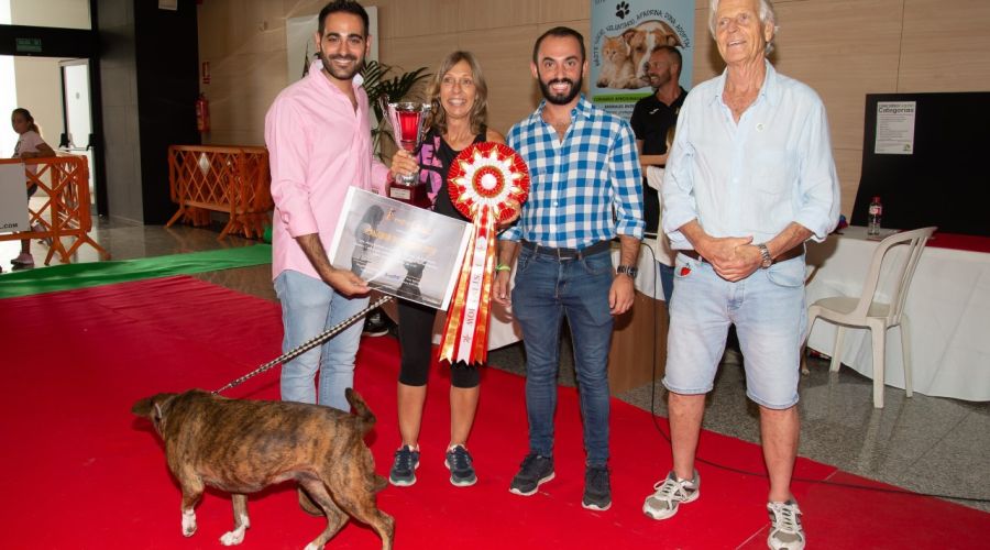 Más de un centenar de perros participan en el Concurso Canino de la Triple A