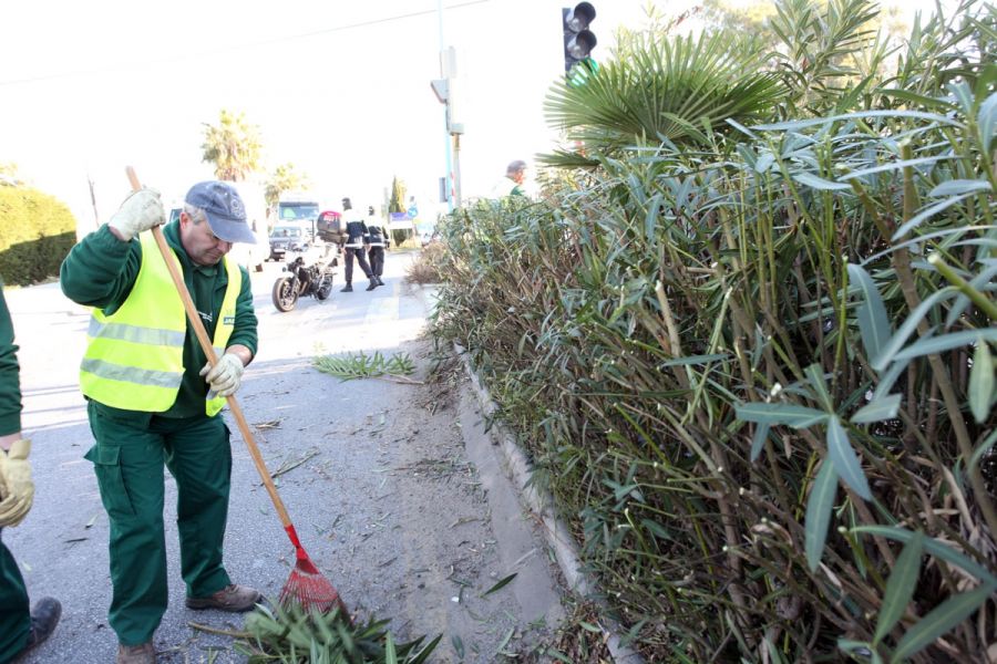Imagen de la noticia La Patrulla Verde de Marbella realiza cerca de 1…