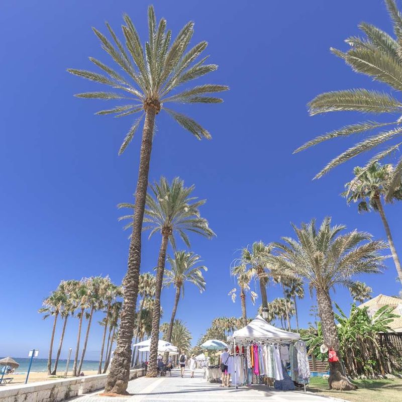 Marbella alcanza en agosto los 5.688 trabajadores hoteleros, un 28,3% más que en 2025, y eleva la ocupación al 84,6%