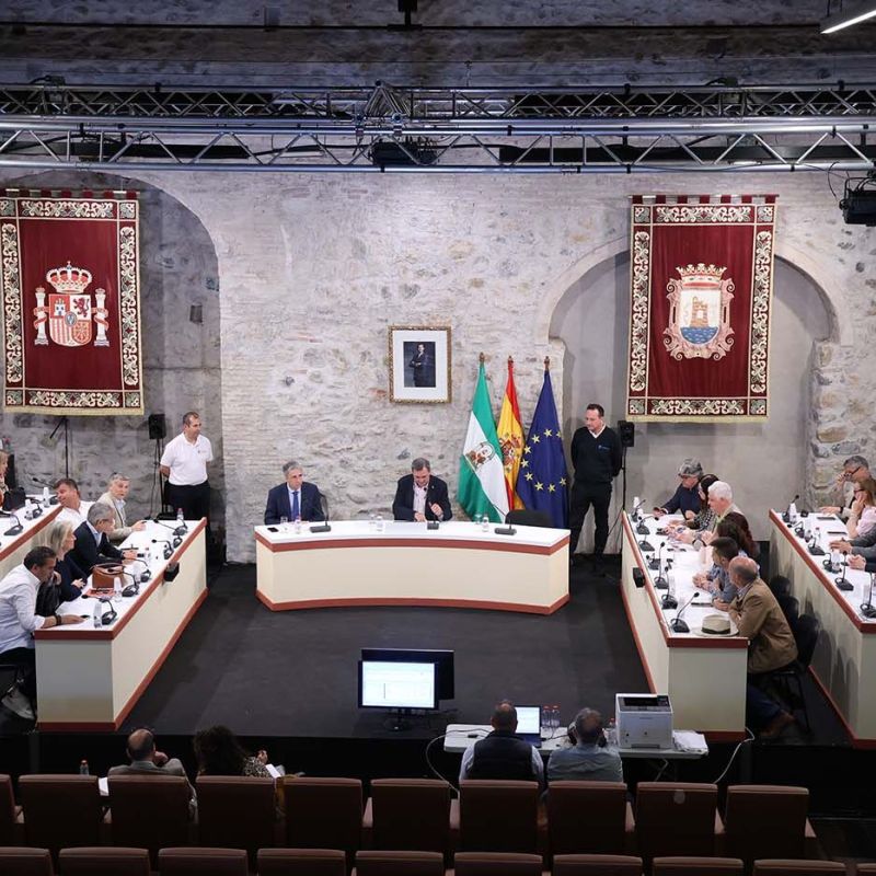 El Pleno constituye las 139 mesas electorales del municipio para los comicios al Parlamento de Andalucía