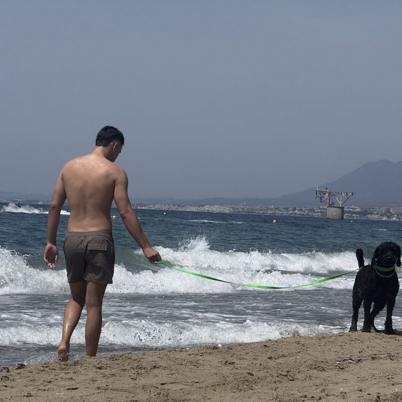 El Ayuntamiento destaca que la ciudad mantiene espacios habilitados para disfrutar de la playa con mascotas durante la temporada de baño