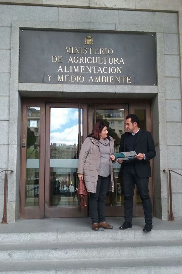 Imagen de la noticia El Ayuntamiento traslada a la Dirección General d…