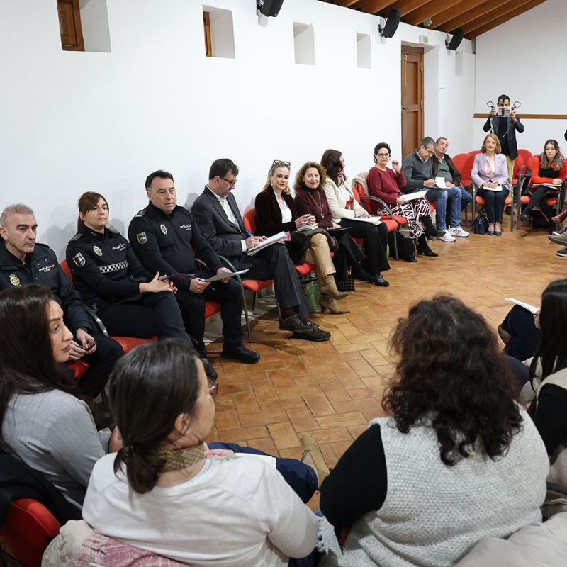 La delegación de Igualdad registra 1.269 consultas desde el pasado mes de noviembre, más de 70 de usuarias atendidas por primera vez y un 14% relacionadas con violencia de género