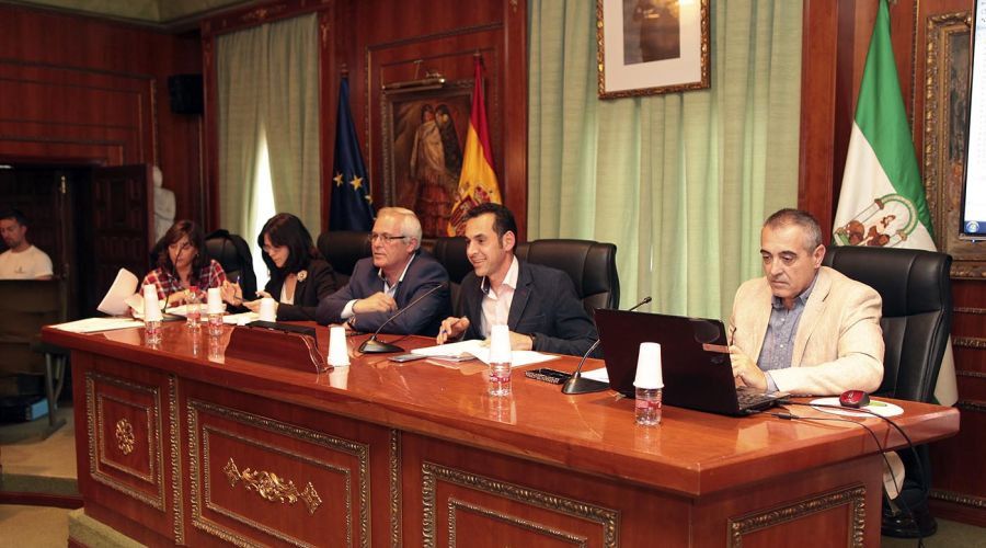 El Ayuntamiento informa al Consejo de Participación Ciudadana sobre el nuevo Reglamento de Distritos, la situación del urbanismo y el proyecto de videovigilancia