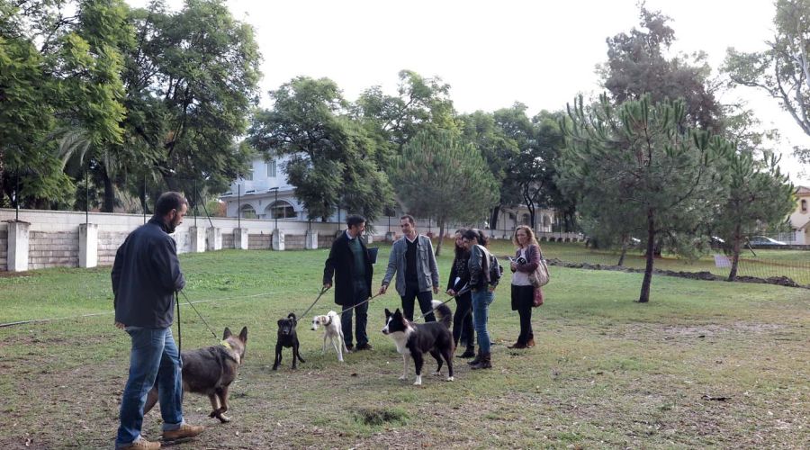 El Ayuntamiento habilitará cuatro nuevos parques caninos con más de 3.300 metros cuadrados de superficie