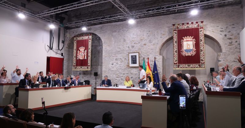 Marbella reclama al Gobierno central la mejora e integración de las pantallas acústicas de la A-7 y un plan de conservación y limpieza
