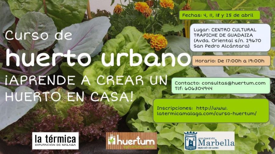 Imagen de la noticia El Ayuntamiento y La Térmica proponen un Curso de…