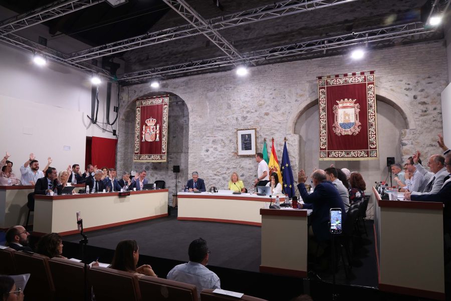 Imagen de la noticia Marbella reclama al Gobierno central la mejora e…