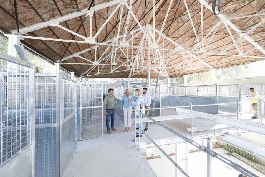 Imagen de la noticia Las obras de la nueva protectora de animales se e…