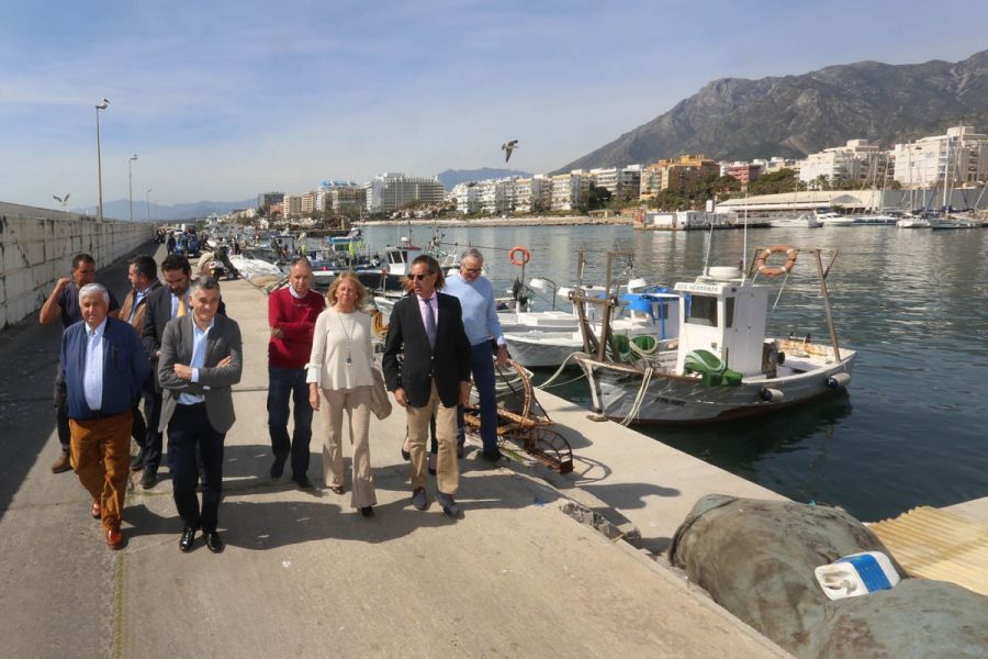 Imagen de la noticia El director de la APPA subraya que los puertos de…