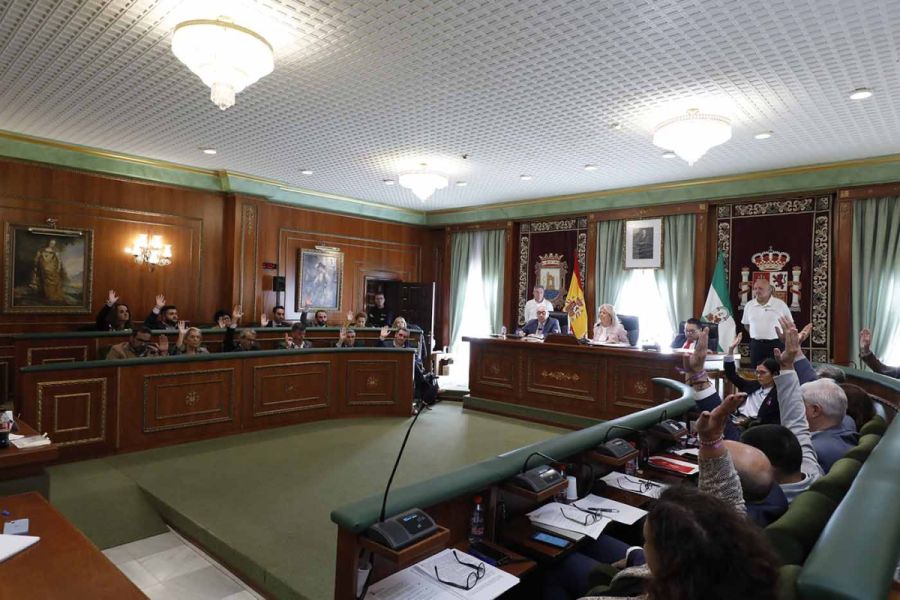 Imagen de la noticia El Pleno aprueba iniciar el procedimiento para la…