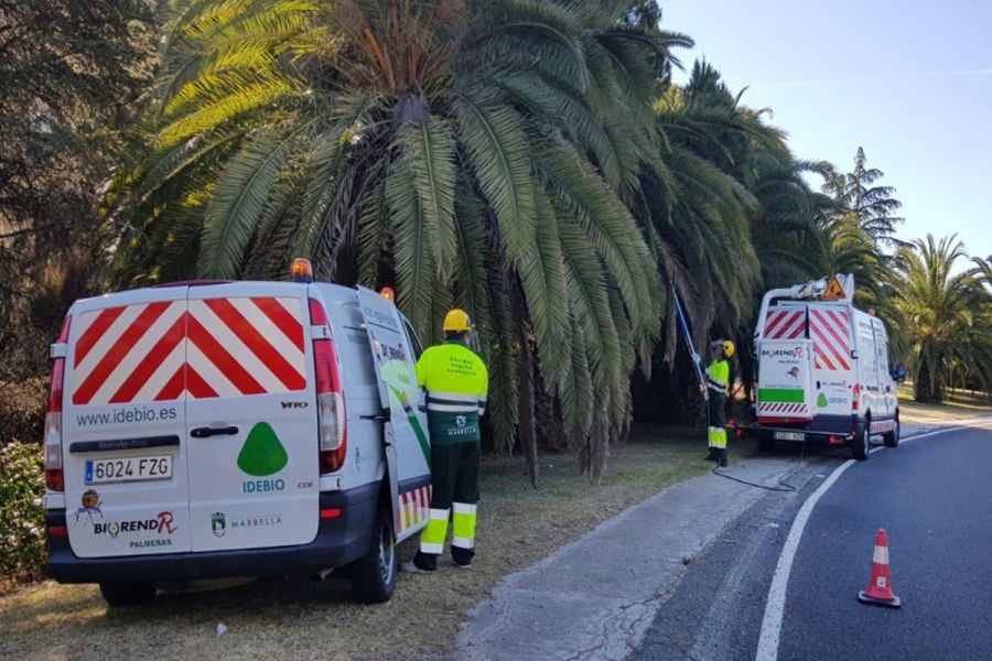 Imagen de la noticia El Ayuntamiento apuesta por métodos ecológicos pa…