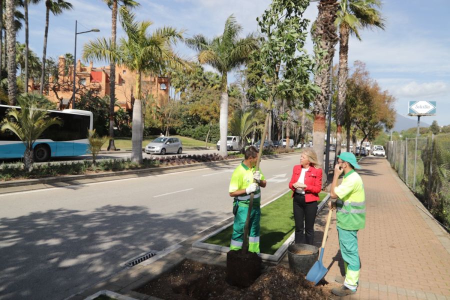 Imagen de la noticia El Ayuntamiento concluye el ajardinamiento y la r…