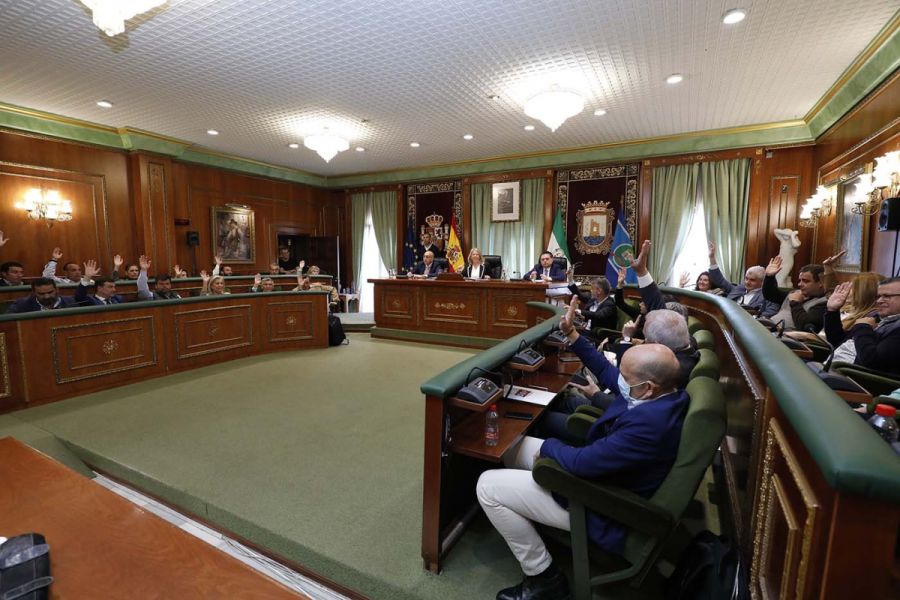 Imagen de la noticia El Pleno da su respaldo unánime a la aprobación i…