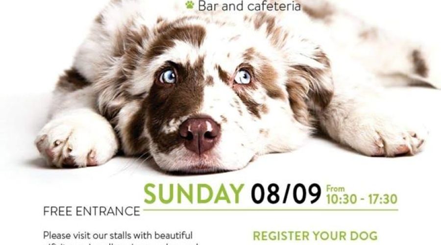 El Palacio de Congresos acogerá este domingo el concurso canino organizado por la Asociación Triple A, que contará con 12 categorías y más de 200 perros