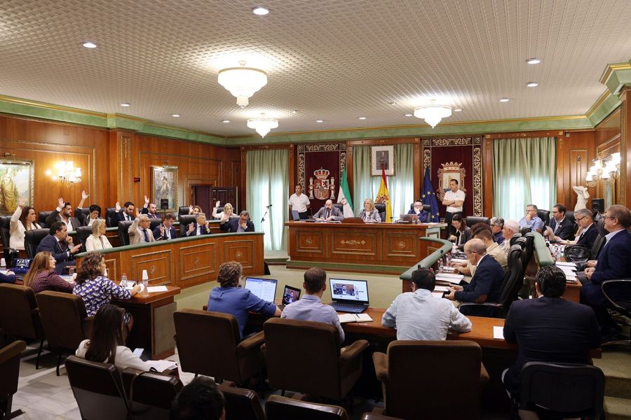 Imagen de la noticia El Pleno aprueba la aceptación del legado de 2,5…