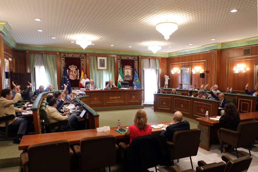 Imagen de la noticia El Pleno reclama al Gobierno central que desista…