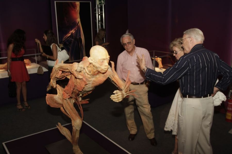 Imagen de la noticia El Palacio de Ferias y Congresos de Marbella se a…