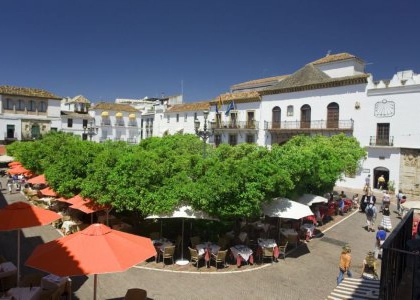 Plaza de Los Naranjos