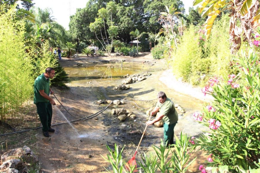 Imagen de la noticia El Ayuntamiento realiza tareas de conservación en…