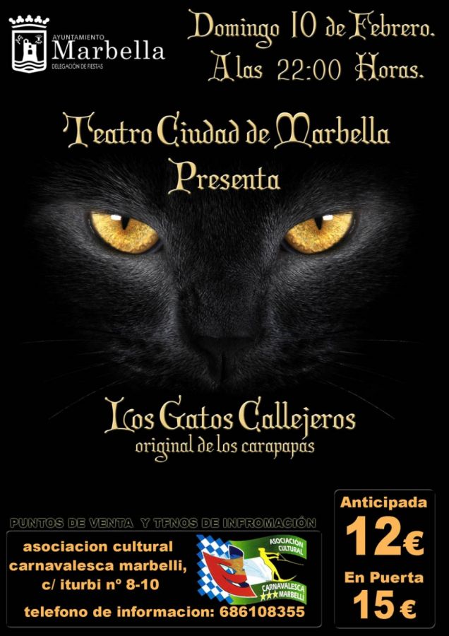 Imagen de la noticia La agrupación ‘Los Gatos Callejeros’ actuará el 1…