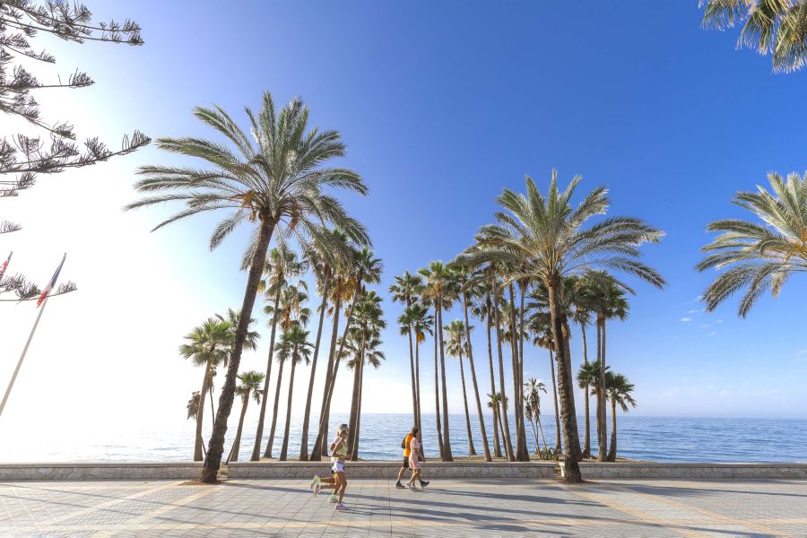 Imagen de la noticia Marbella consolida en 2025 su liderazgo como uno…