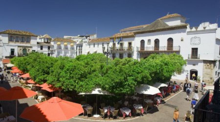 Plaza de los Naranjos