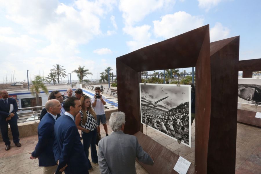 Imagen de la noticia Marbella acoge hasta el 1 de octubre la exposició…