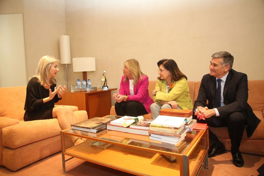 Imagen de la noticia El Ayuntamiento y la Junta impulsarán un protocol…